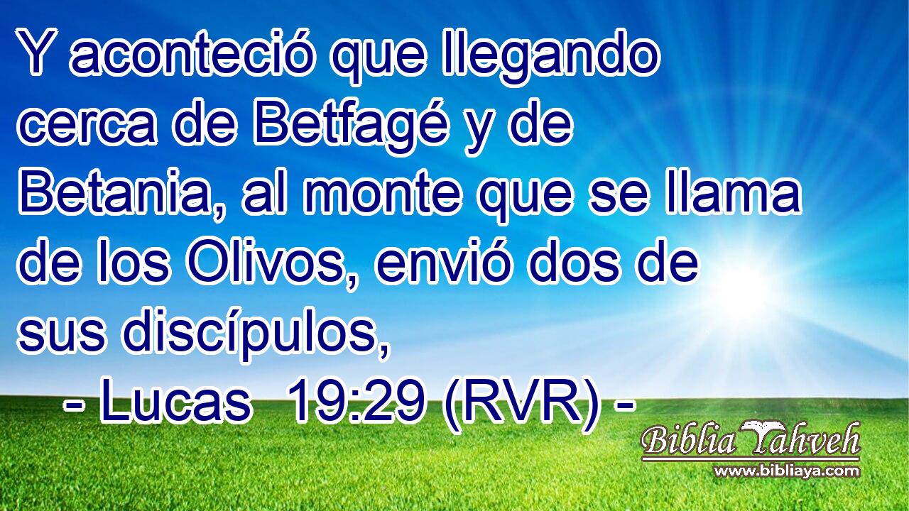 Y aconteció que llegando cerca de Betfagé y de Betania, al monte que se llama de los Olivos, envió dos de sus discípulos,