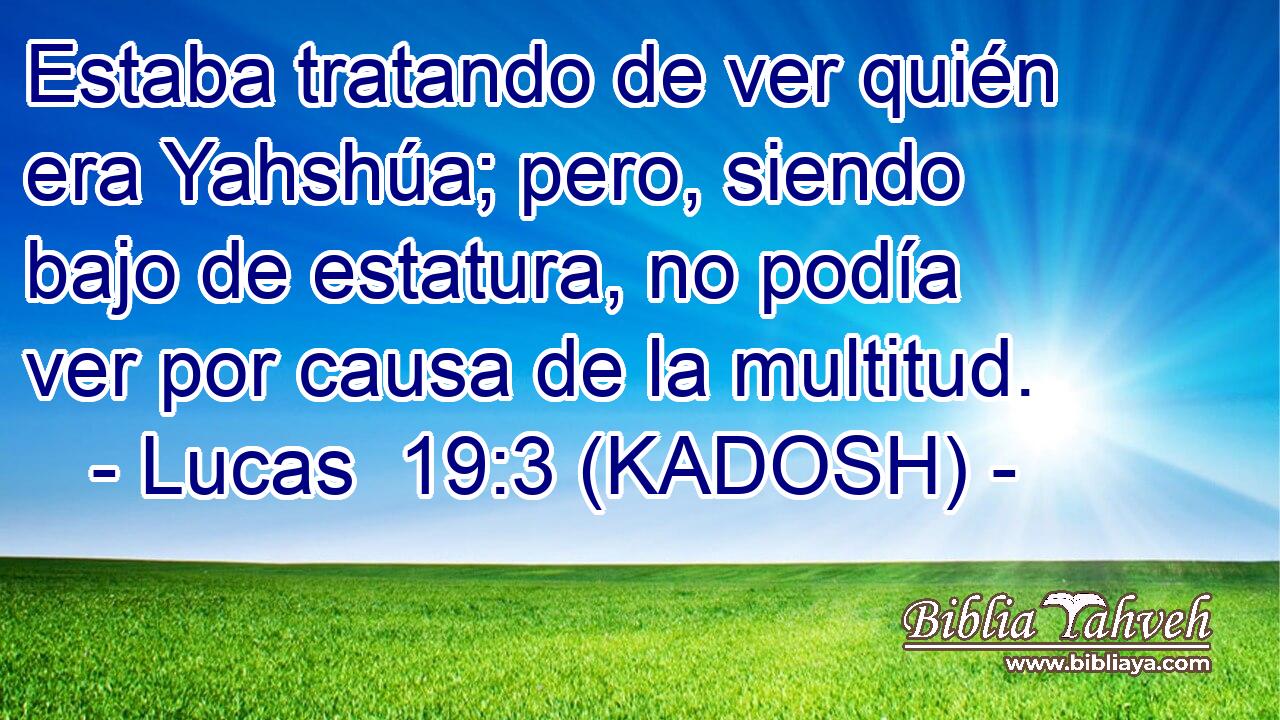  Estaba tratando de ver quién era Yahshúa; pero, siendo bajo de estatura, no podía ver por causa de la multitud. 