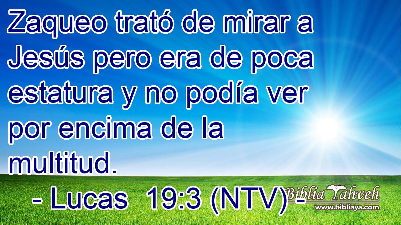 Zaqueo trató de mirar a Jesús pero era de poca estatura y no podía ver por encima de la multitud.