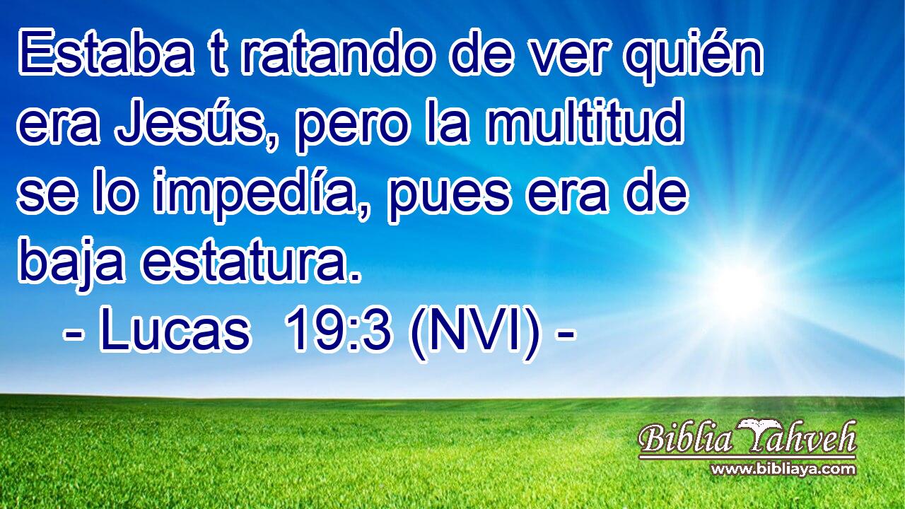  Estaba t ratando de ver quién era Jesús, pero la multitud se lo impedía, pues era de baja estatura. 