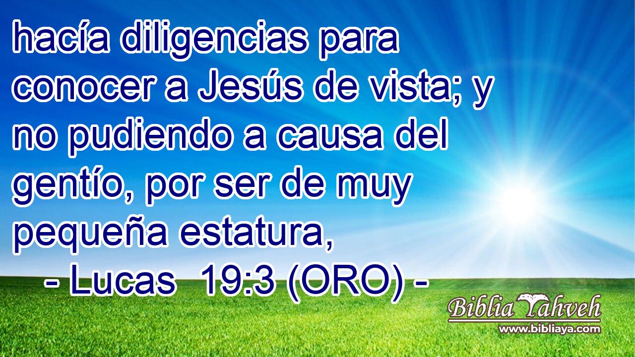  hacía diligencias para conocer a Jesús de vista; y no pudiendo a causa del gentío, por ser de muy pequeña estatura, 
