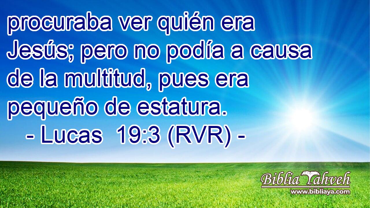procuraba ver quién era Jesús; pero no podía a causa de la multitud, pues era pequeño de estatura.