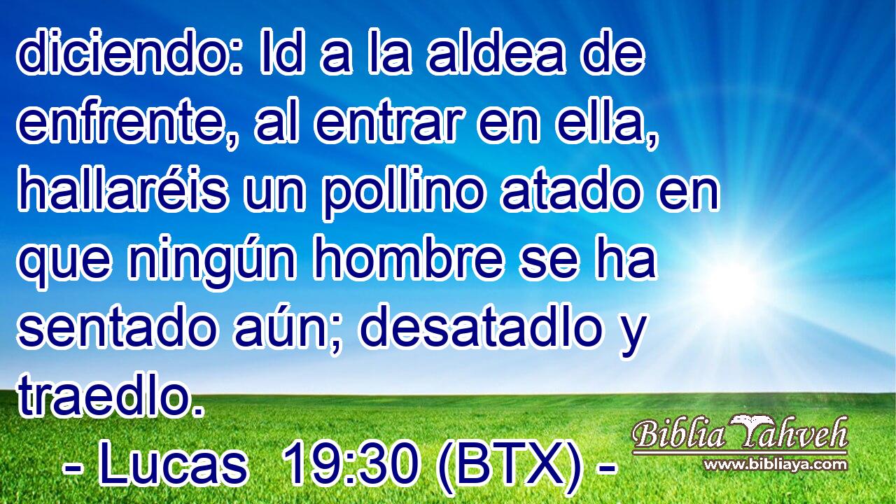 diciendo: Id a la aldea de enfrente, al entrar en ella, hallaréis un pollino atado en que ningún hombre se ha sentado aún; desatadlo y traedlo.