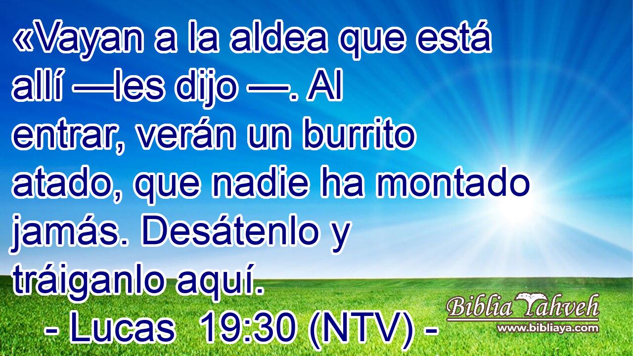 «Vayan a la aldea que está allí —les dijo —. Al entrar, verán un burrito atado, que nadie ha montado jamás. Desátenlo y tráiganlo aquí.