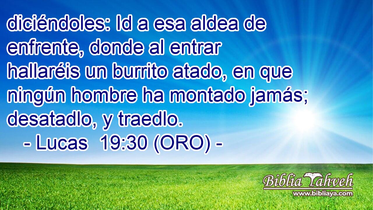  diciéndoles: Id a esa aldea de enfrente, donde al entrar hallaréis un burrito atado, en que ningún hombre ha montado jamás; desatadlo, y traedlo. 