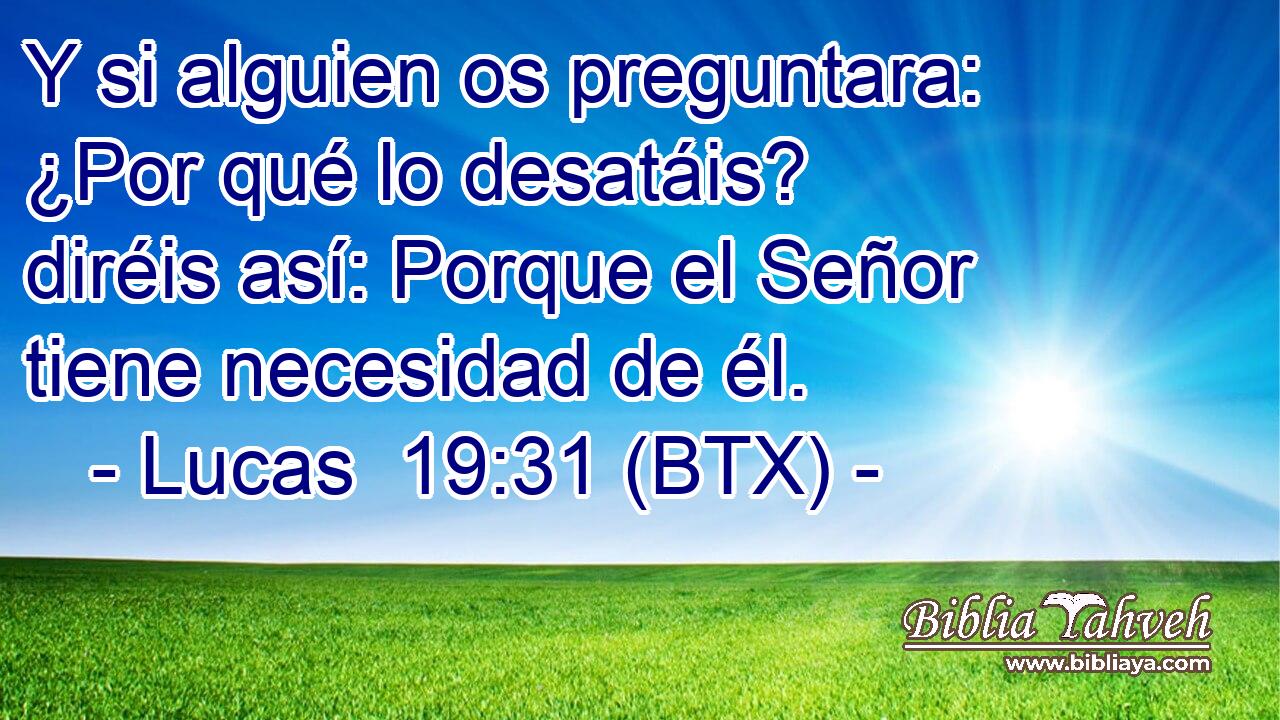 Y si alguien os preguntara: ¿Por qué lo desatáis? diréis así: Porque el Señor tiene necesidad de él.