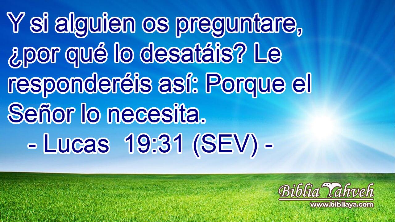 Y si alguien os preguntare, ¿por qué lo desatáis? Le responderéis así: Porque el Señor lo necesita.