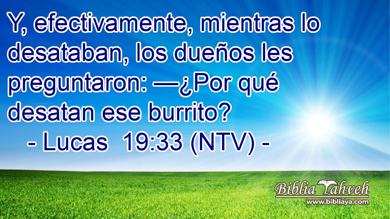 Y, efectivamente, mientras lo desataban, los dueños les preguntaron: —¿Por qué desatan ese burrito?