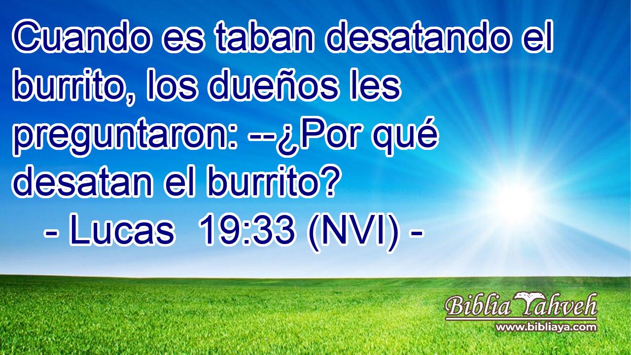  Cuando es taban desatando el burrito, los dueños les preguntaron: --¿Por qué desatan el burrito? 