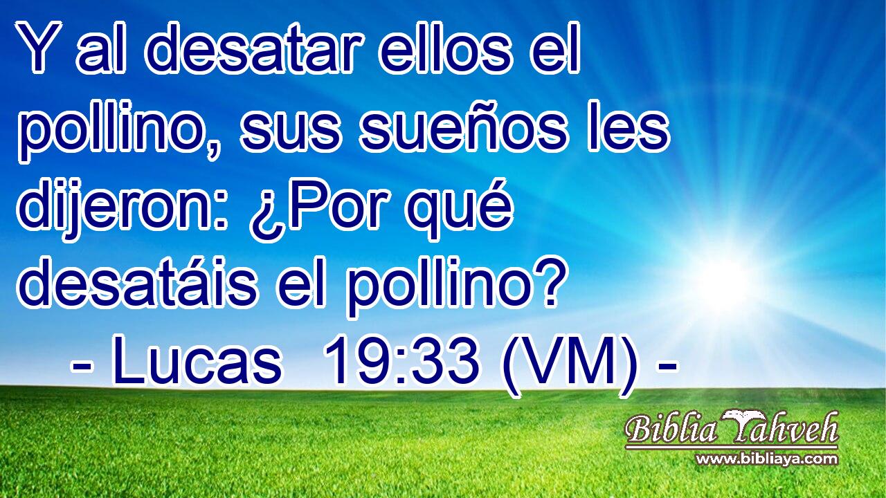  Y al desatar ellos el pollino, sus sueños les dijeron: ¿Por qué desatáis el pollino? 