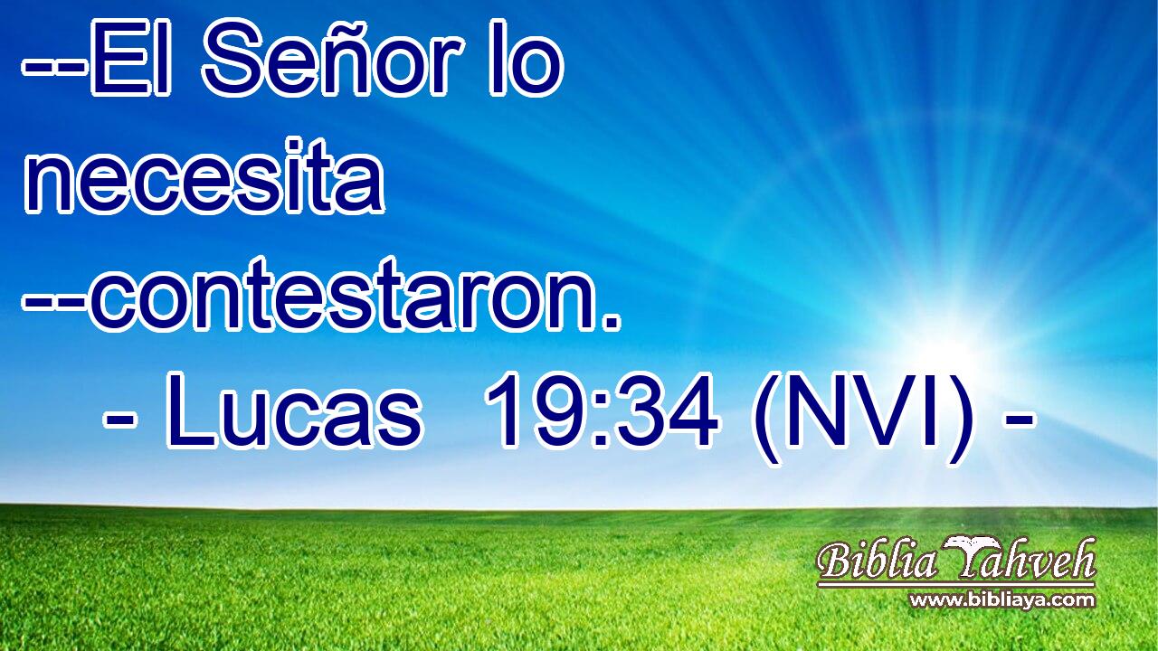  --El Señor lo necesita --contestaron. 