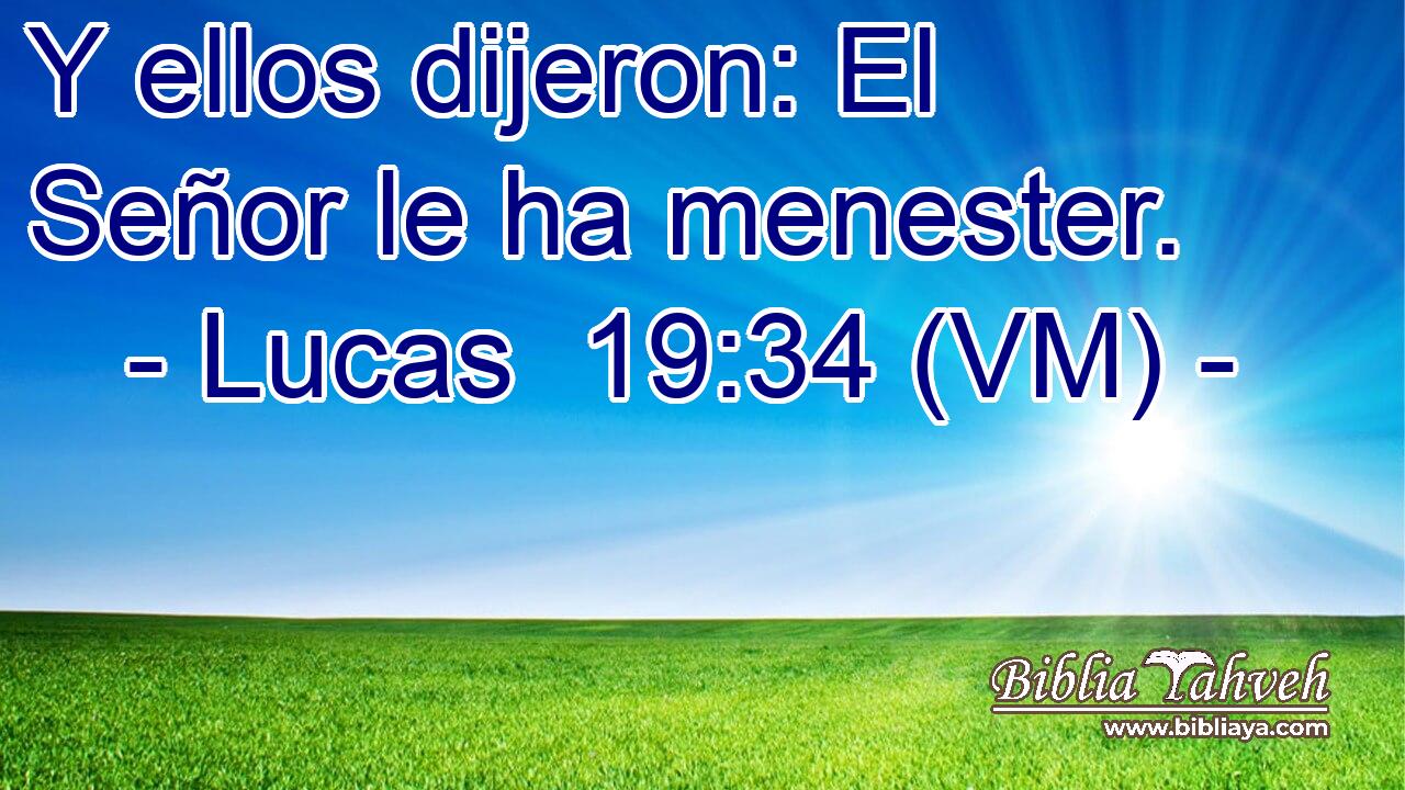  Y ellos dijeron: El Señor le ha menester. 