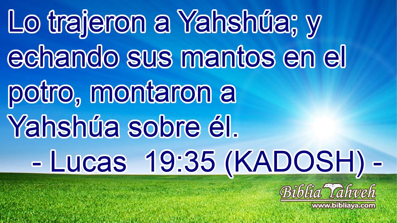  Lo trajeron a Yahshúa; y echando sus mantos en el potro, montaron a Yahshúa sobre él. 