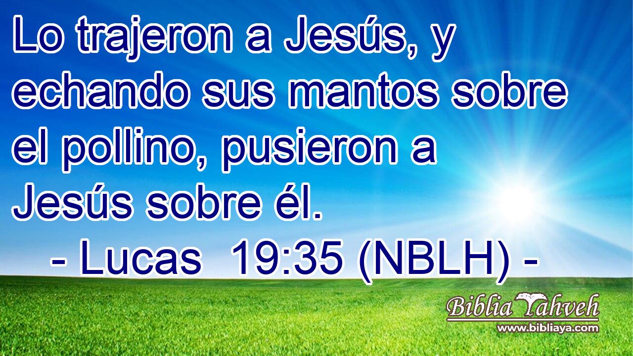  Lo trajeron a Jesús, y echando sus mantos sobre el pollino, pusieron a Jesús sobre él. 