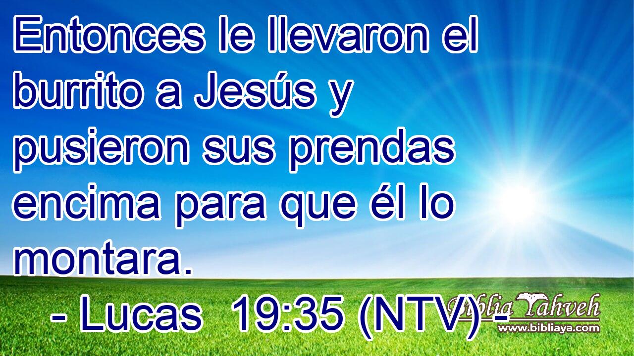 Entonces le llevaron el burrito a Jesús y pusieron sus prendas encima para que él lo montara.