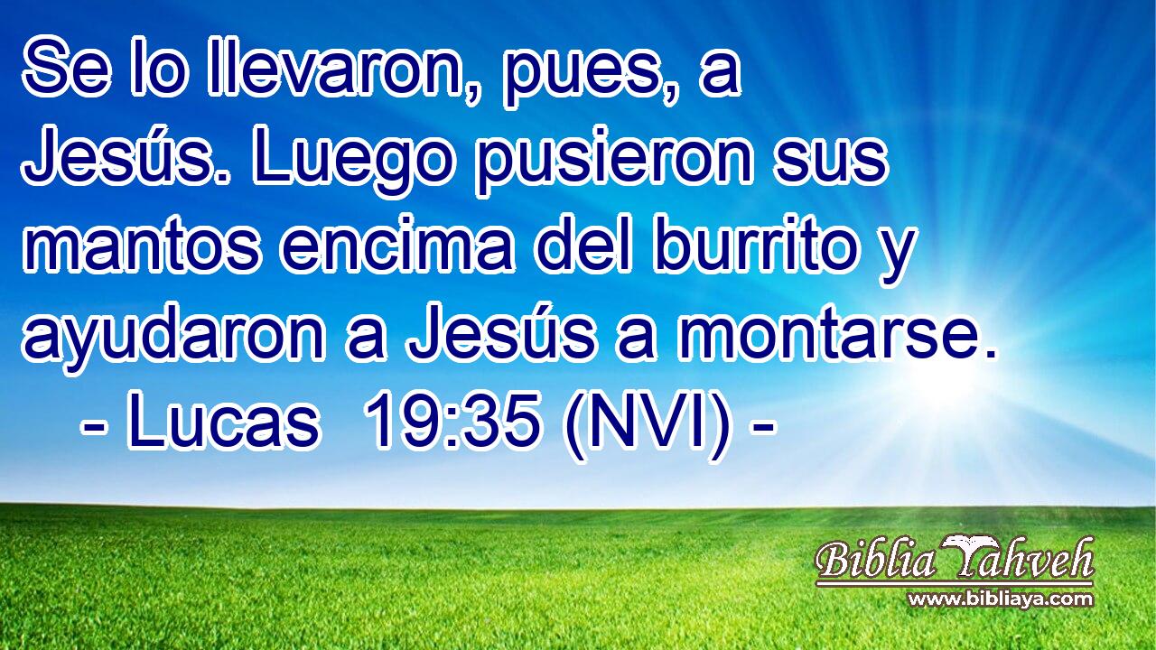 Se lo llevaron, pues, a Jesús. Luego pusieron sus mantos encima del burrito y ayudaron a Jesús a montarse. 