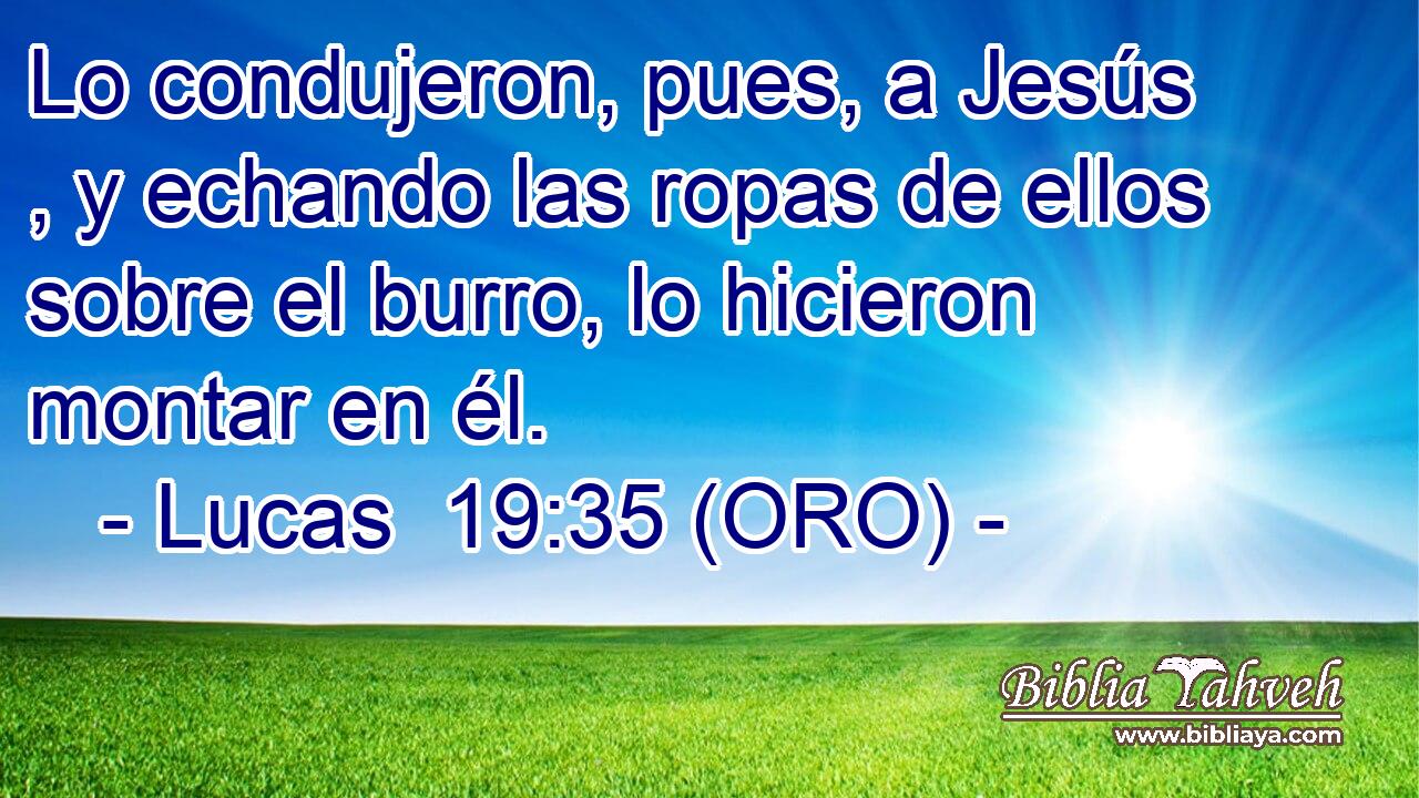 Lo condujeron, pues, a Jesús , y echando las ropas de ellos sobre el burro, lo hicieron montar en él. 