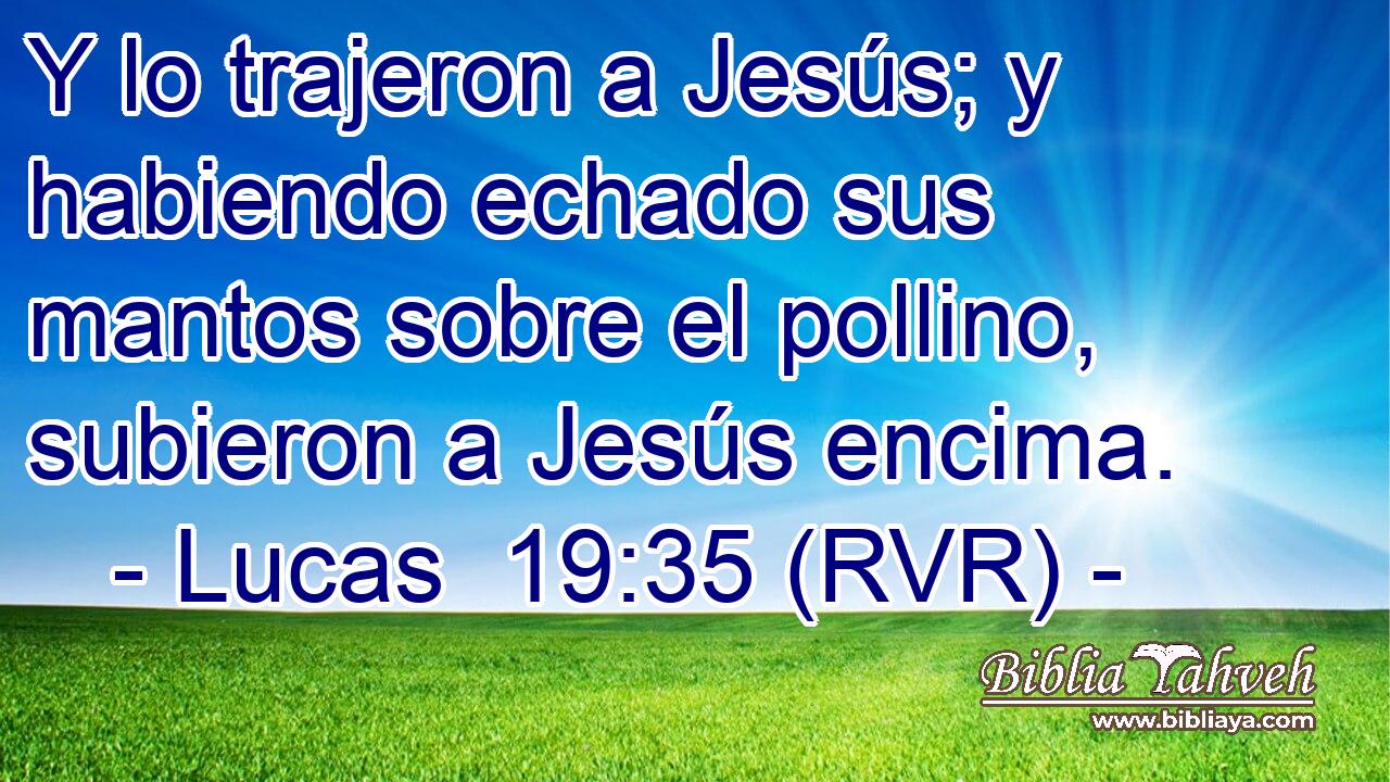 Y lo trajeron a Jesús; y habiendo echado sus mantos sobre el pollino, subieron a Jesús encima.