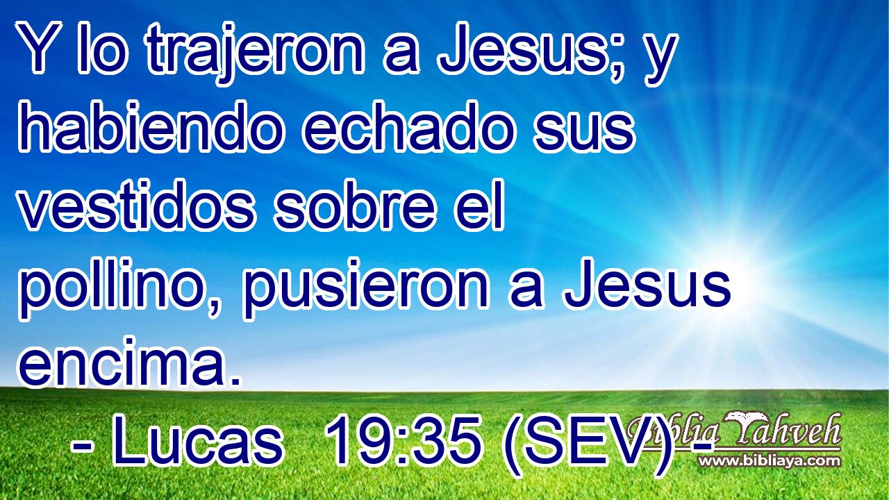 Y lo trajeron a Jesus; y habiendo echado sus vestidos sobre el pollino, pusieron a Jesus encima.