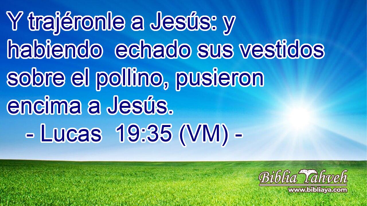  Y trajéronle a Jesús: y habiendo  echado sus vestidos sobre el pollino, pusieron encima a Jesús. 