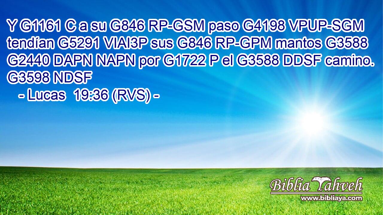 Y G1161 C a su G846 RP-GSM paso G4198 VPUP-SGM tendían G5291 VIAI3P sus G846 RP-GPM mantos G3588 G2440 DAPN NAPN por G1722 P el G3588 DDSF camino. G3598 NDSF 