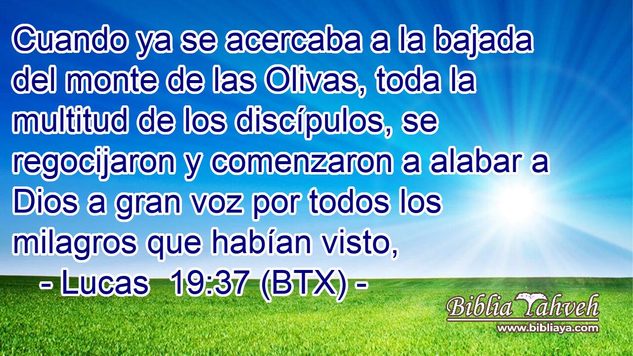 Cuando ya se acercaba a la bajada del monte de las Olivas, toda la multitud de los discípulos, se regocijaron y comenzaron a alabar a Dios a gran voz por todos los milagros que habían visto,