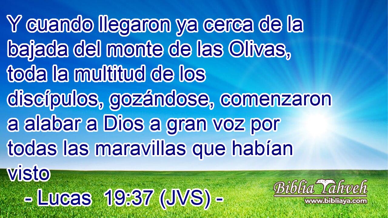 Y cuando llegaron ya cerca de la bajada del monte de las Olivas, toda la multitud de los discípulos, gozándose, comenzaron a alabar a Dios a gran voz por todas las maravillas que habían visto