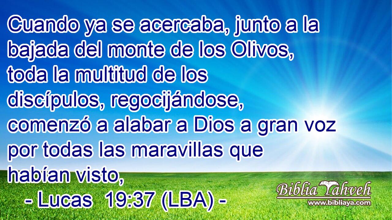 Cuando ya se acercaba, junto a la bajada del monte de los Olivos, toda la multitud de los discípulos, regocijándose, comenzó a alabar a Dios a gran voz por todas las maravillas que habían visto,