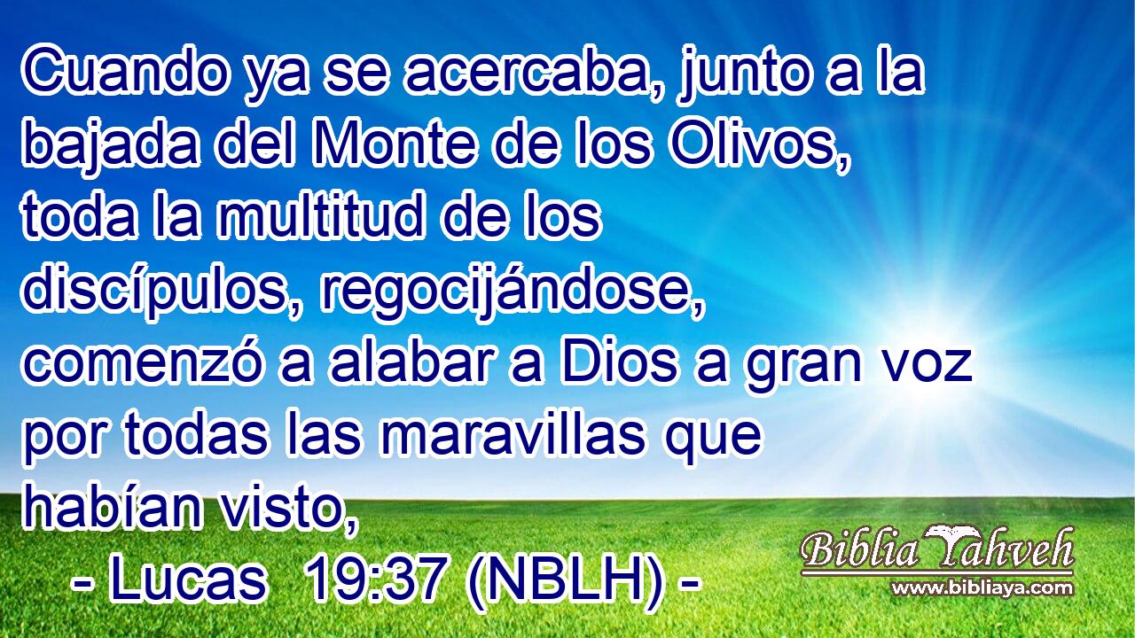  Cuando ya se acercaba, junto a la bajada del Monte de los Olivos, toda la multitud de los discípulos, regocijándose, comenzó a alabar a Dios a gran voz por todas las maravillas que habían visto, 