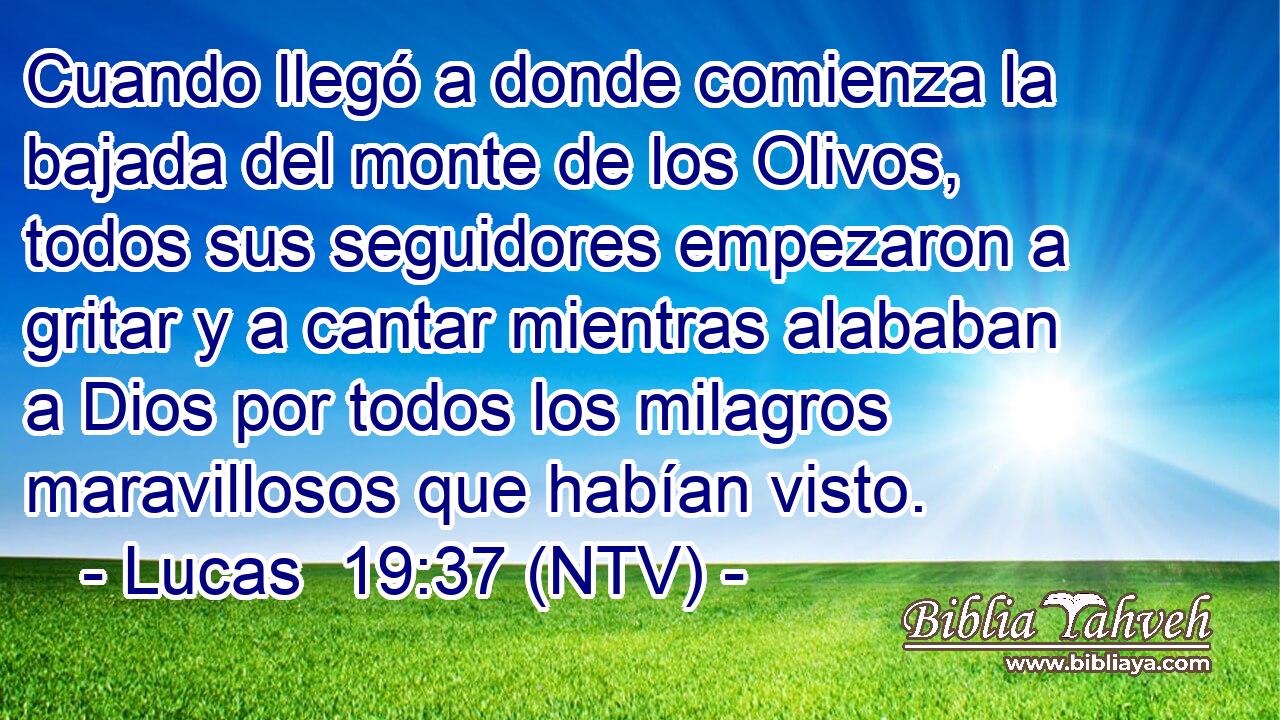 Cuando llegó a donde comienza la bajada del monte de los Olivos, todos sus seguidores empezaron a gritar y a cantar mientras alababan a Dios por todos los milagros maravillosos que habían visto.