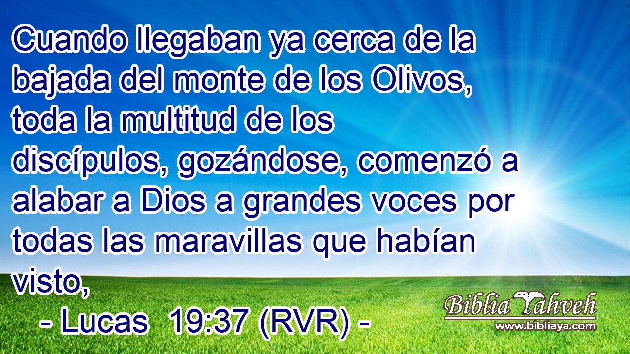 Cuando llegaban ya cerca de la bajada del monte de los Olivos, toda la multitud de los discípulos, gozándose, comenzó a alabar a Dios a grandes voces por todas las maravillas que habían visto,