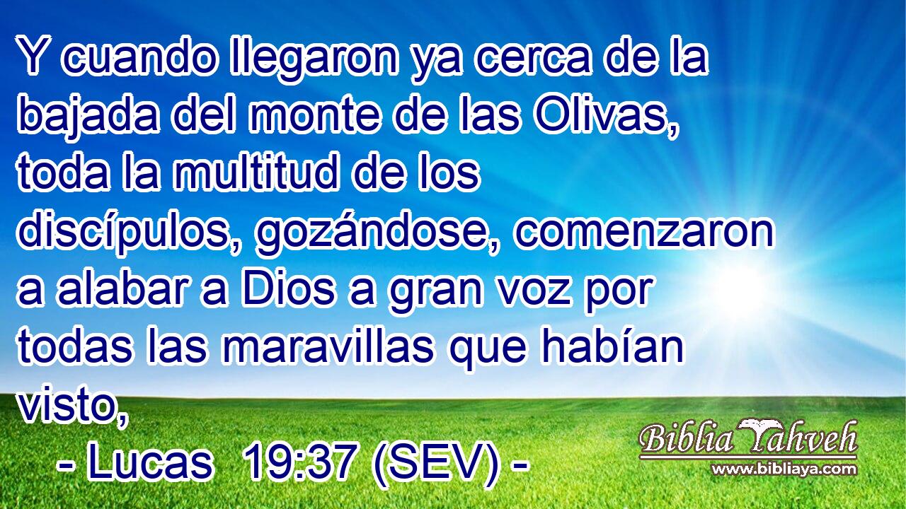 Y cuando llegaron ya cerca de la bajada del monte de las Olivas, toda la multitud de los discípulos, gozándose, comenzaron a alabar a Dios a gran voz por todas las maravillas que habían visto,