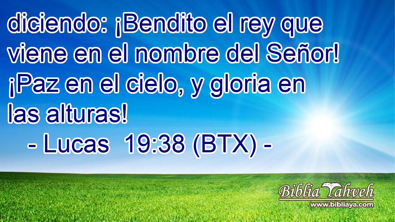 diciendo: ¡Bendito el rey que viene en el nombre del Señor! ¡Paz en el cielo, y gloria en las alturas!