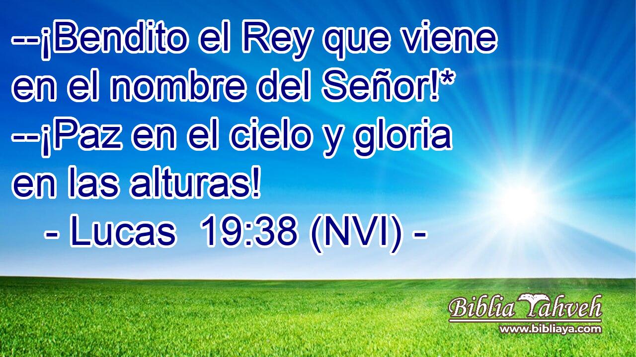  --¡Bendito el Rey que viene en el nombre del Señor!* --¡Paz en el cielo y gloria en las alturas! 