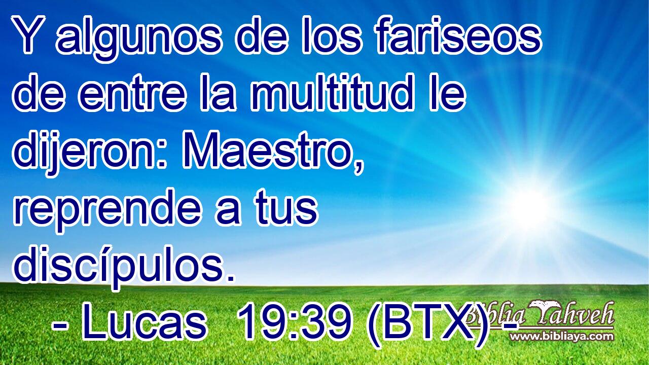 Y algunos de los fariseos de entre la multitud le dijeron: Maestro, reprende a tus discípulos.