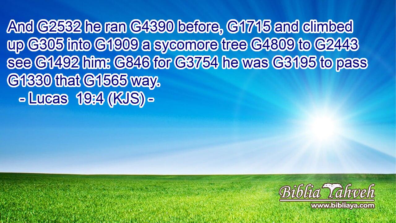 And G2532 he ran G4390 before, G1715 and climbed up G305 into G1909 a sycomore tree G4809 to G2443 see G1492 him: G846 for G3754 he was G3195 to pass G1330 that G1565 way.