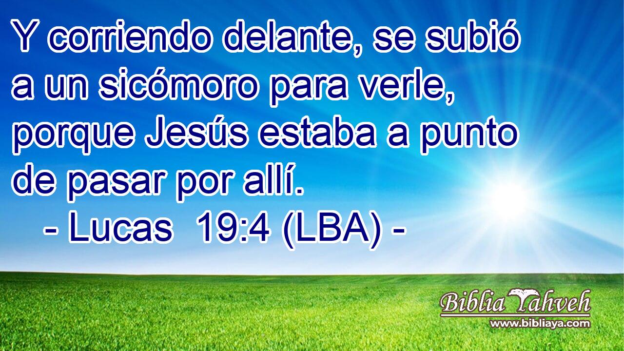 Y corriendo delante, se subió a un sicómoro para verle, porque Jesús estaba a punto de pasar por allí.
