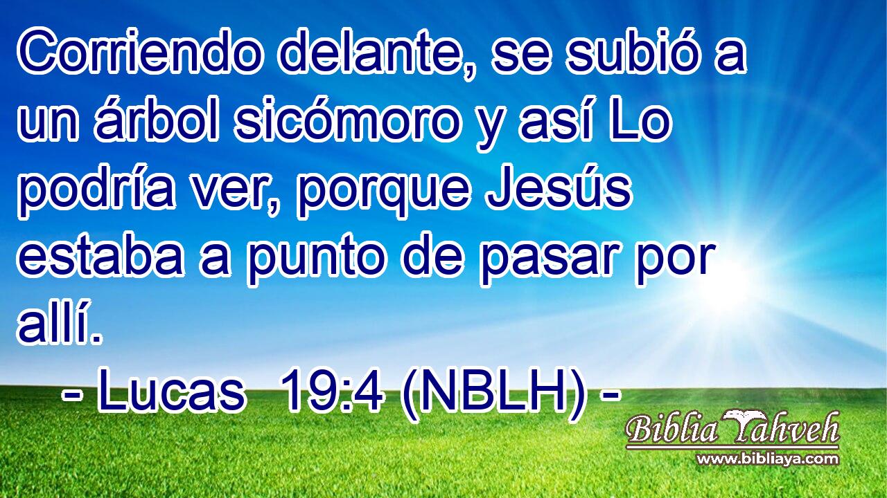  Corriendo delante, se subió a un árbol sicómoro y así Lo podría ver, porque Jesús estaba a punto de pasar por allí. 
