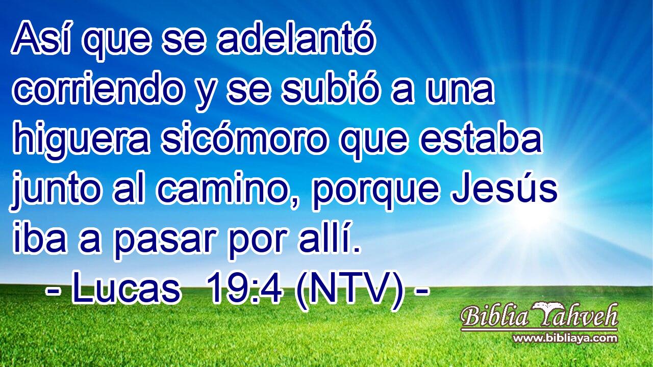 Así que se adelantó corriendo y se subió a una higuera sicómoro que estaba junto al camino, porque Jesús iba a pasar por allí.