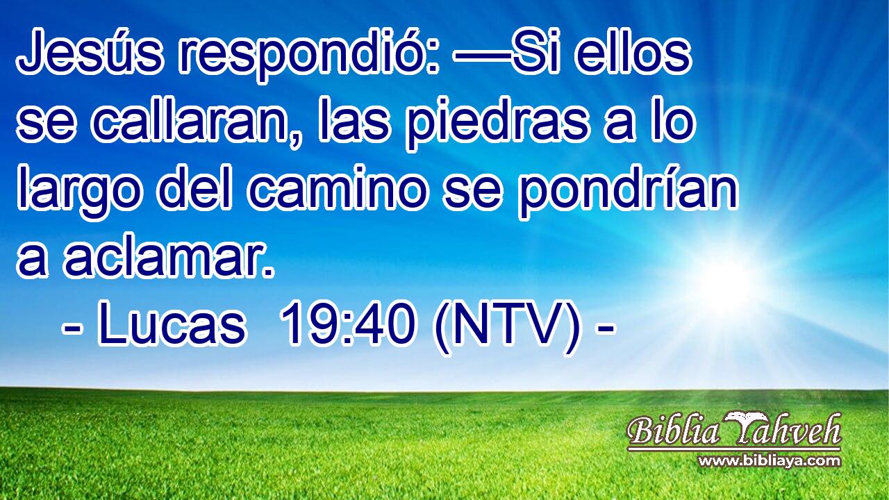 Jesús respondió: —Si ellos se callaran, las piedras a lo largo del camino se pondrían a aclamar.