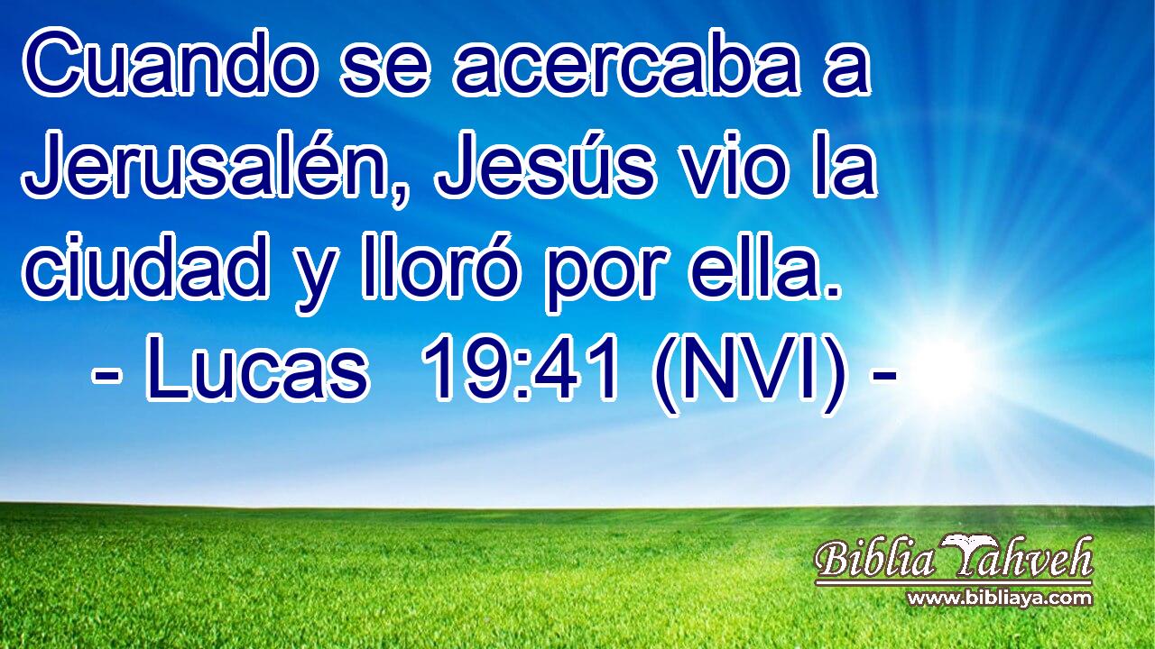  Cuando se acercaba a Jerusalén, Jesús vio la ciudad y lloró por ella. 