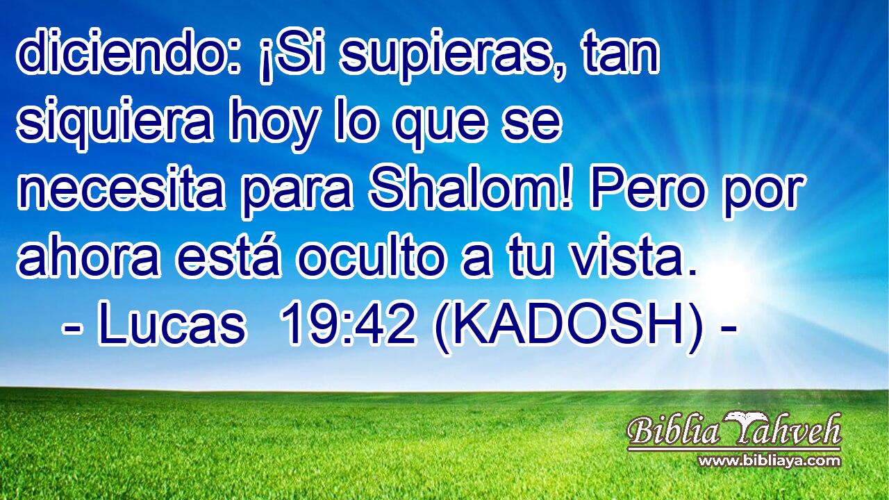  diciendo: ¡Si supieras, tan siquiera hoy lo que se necesita para Shalom! Pero por ahora está oculto a tu vista. 