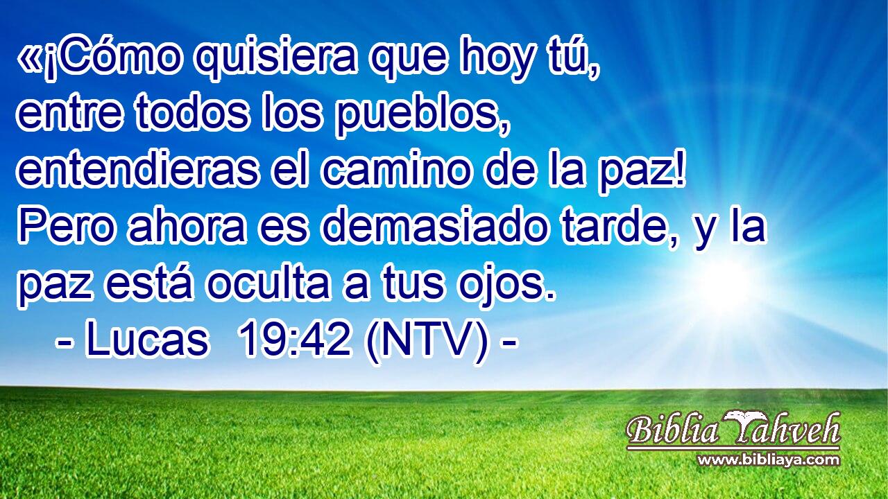 «¡Cómo quisiera que hoy tú, entre todos los pueblos, entendieras el camino de la paz! Pero ahora es demasiado tarde, y la paz está oculta a tus ojos.