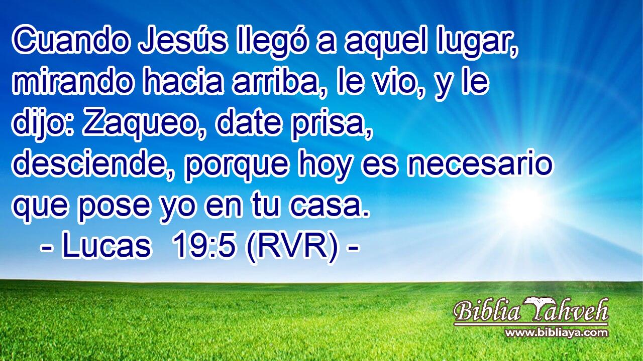 Cuando Jesús llegó a aquel lugar, mirando hacia arriba, le vio, y le dijo: Zaqueo, date prisa, desciende, porque hoy es necesario que pose yo en tu casa.
