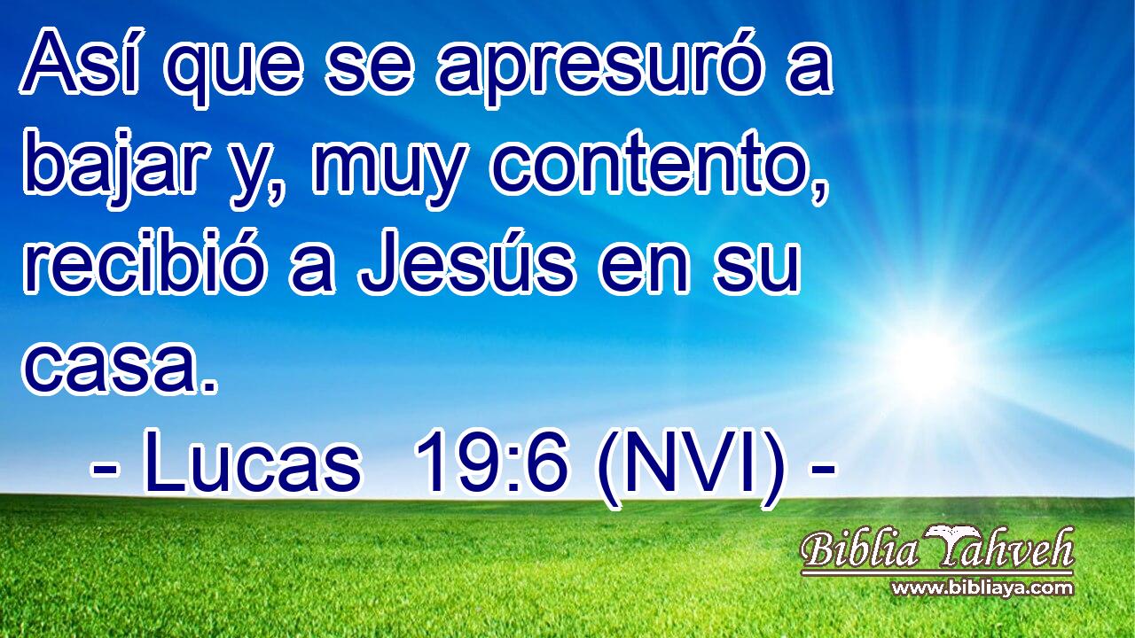  Así que se apresuró a bajar y, muy contento, recibió a Jesús en su casa. 