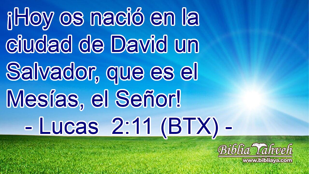 ¡Hoy os nació en la ciudad de David un Salvador, que es el Mesías, el Señor!