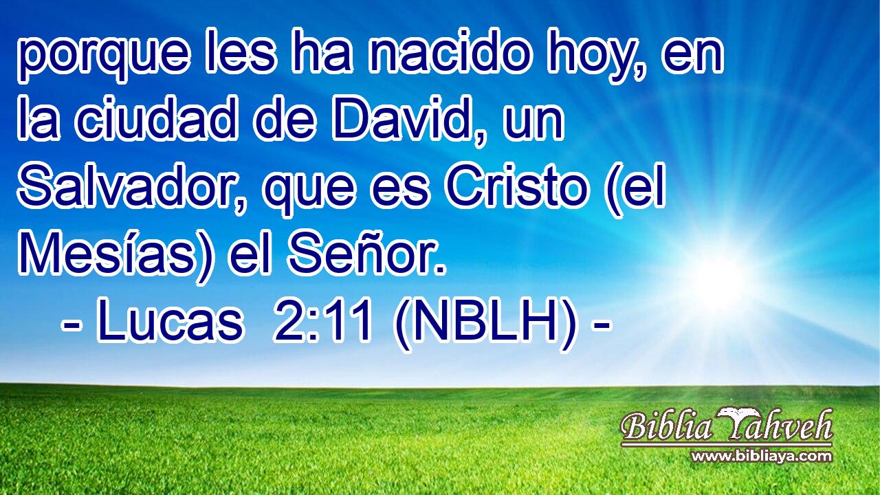  porque les ha nacido hoy, en la ciudad de David, un Salvador, que es Cristo (el Mesías) el Señor. 