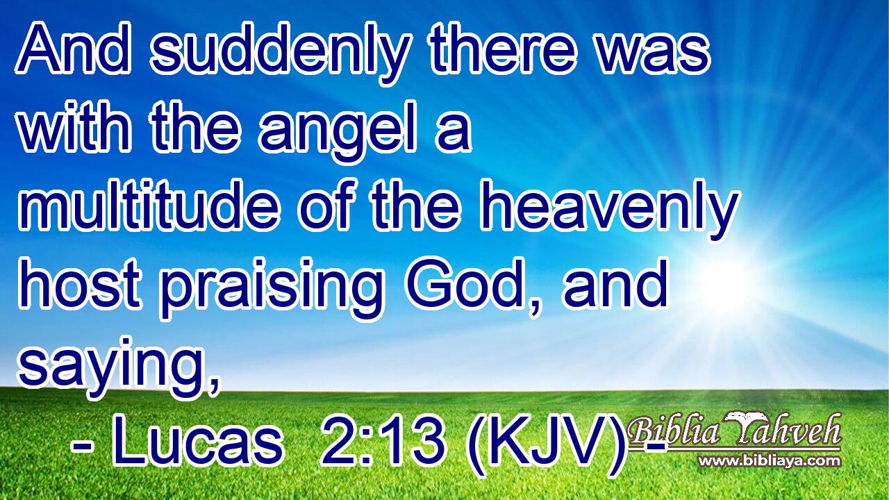 And suddenly there was with the angel a multitude of the heavenly host praising God, and saying,