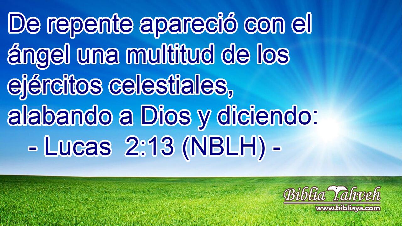  De repente apareció con el ángel una multitud de los ejércitos celestiales, alabando a Dios y diciendo: 