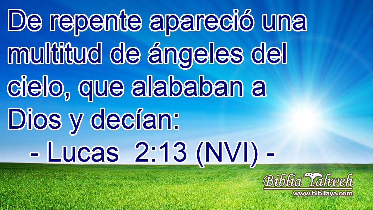  De repente apareció una multitud de ángeles del cielo, que alababan a Dios y decían: 